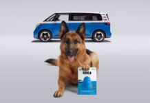 Volkswagen, KONG y VCA Charities desatan la alegría con un juguete para perros de edición limitada inspirado en el ID.Buzz.
