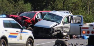 EE.UU. ¿Cuáles son los 10 Estados con mayor número de muertes por accidentes de tráfico?