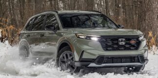 ¿Cuáles son los 5 SUVs del 2026 ideales para familias con mascotas?
